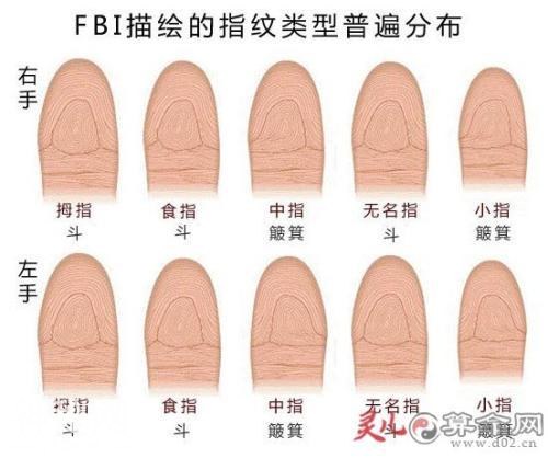人手指头上的斗和簸箕代表什么？-3.jpg