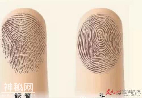 人手指头上的斗和簸箕代表什么？-4.jpg