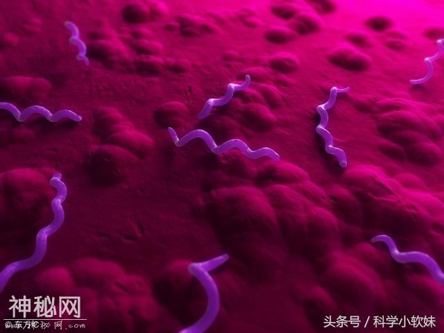 外太空星球的颜色大有学问！科学家：紫色星球20%或有生命-2.jpg