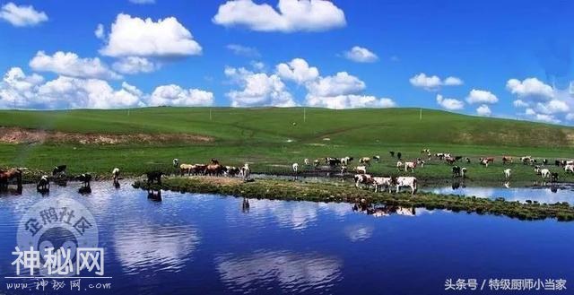 藏在老成都茶馆一条街的地道蒙古烤肉，豁呀简直巴适得板！！！-9.jpg