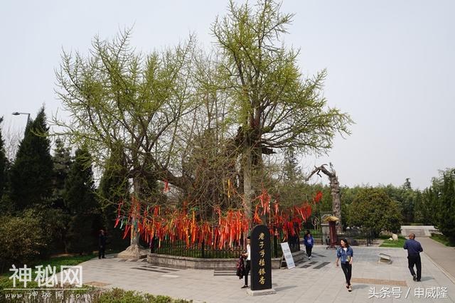 宗圣宫遗址：中国道教最早的宫观-17.jpg