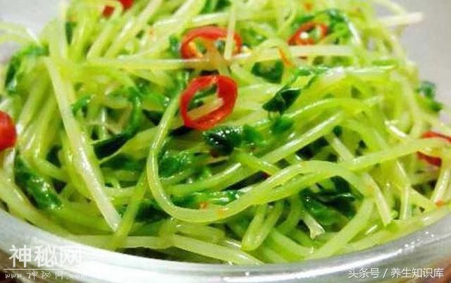 春季养生“吃芽菜”，这7种不可错过，每天吃一点，少生病更健康-10.jpg