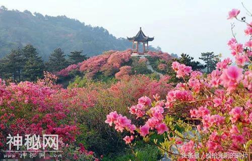 聆听｜夏秋水：《杜鹃花红秃子山》——朗诵：青山-2.jpg
