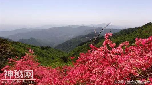 聆听｜夏秋水：《杜鹃花红秃子山》——朗诵：青山-4.jpg