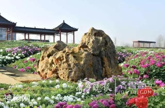 济宁又添一好去处，曲阜牡丹园15日邀您赏花、看民俗-3.jpg