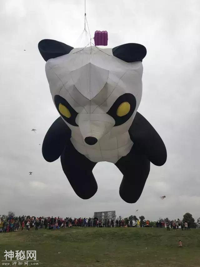 哇咔咔！世界最大的滚地龙风筝在崇州飞升！-15.jpg