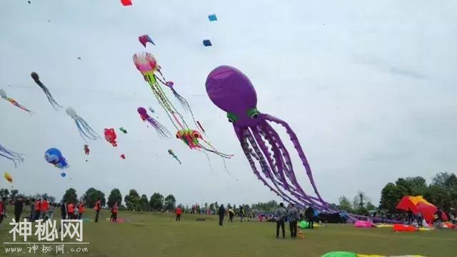 哇咔咔！世界最大的滚地龙风筝在崇州飞升！-14.jpg