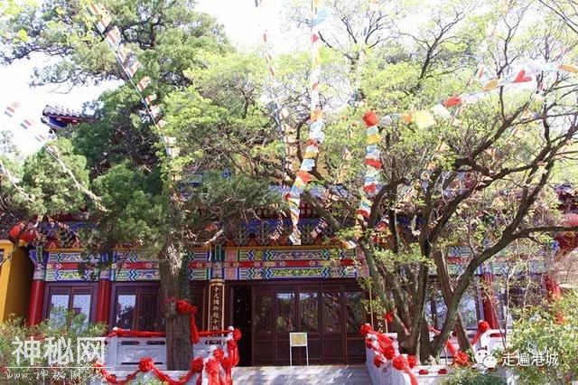 走遍连云港：秦阙汉庙 石语碑言-27.jpg