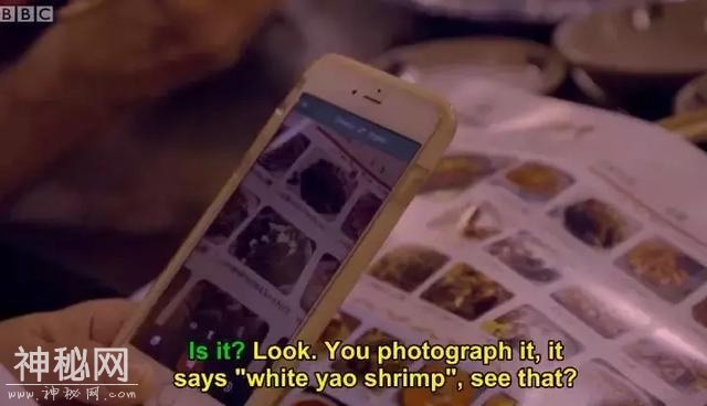 BBC的镜头下，中国最适合养老的城市里，老年生活让人羡慕-14.jpg