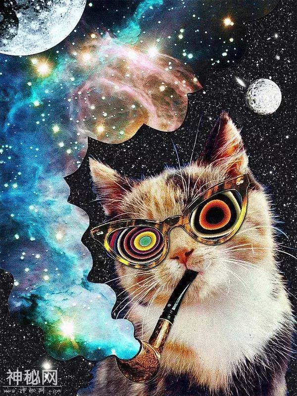 宇宙星象预报 | 你的水逆结束了吗？-4.jpg