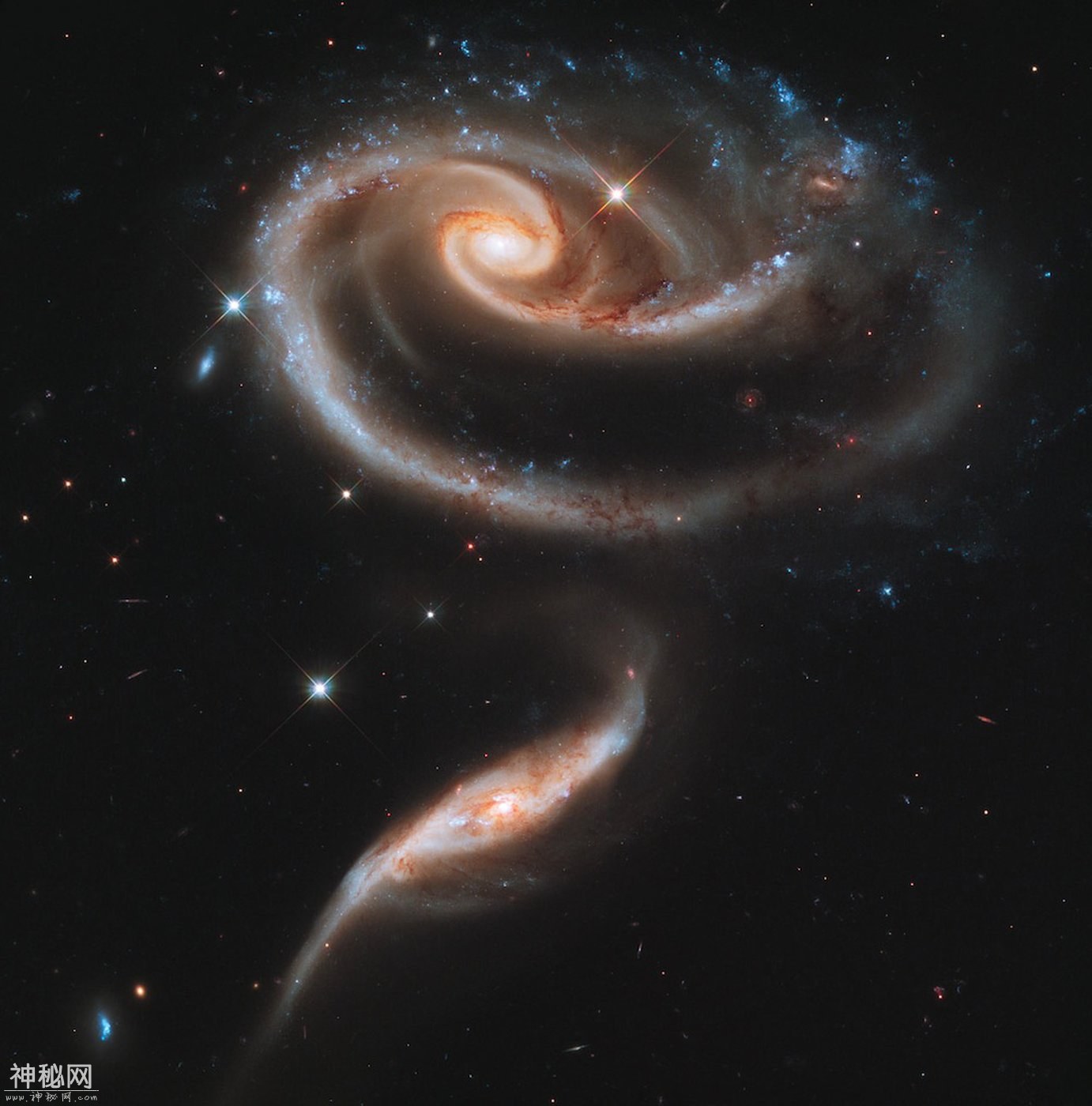 整个宇宙为你闪烁！感受哈勃望远镜眼中的灿烂星海-3.jpg