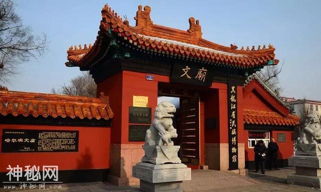 中江万亩芍药花已开，成都出发1.5h！不要门票全部免费看！-21.jpg