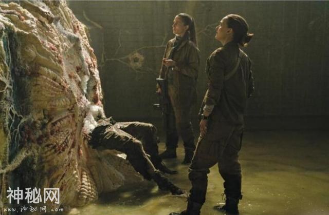 《湮灭》票房湮灭了，《三体》能好吗？-5.jpg