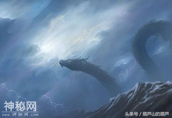 龙的发展历史-1.jpg