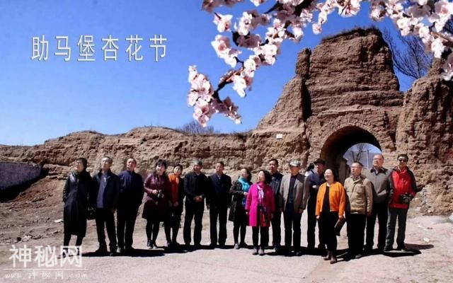助马情怀--陈福仁-8.jpg