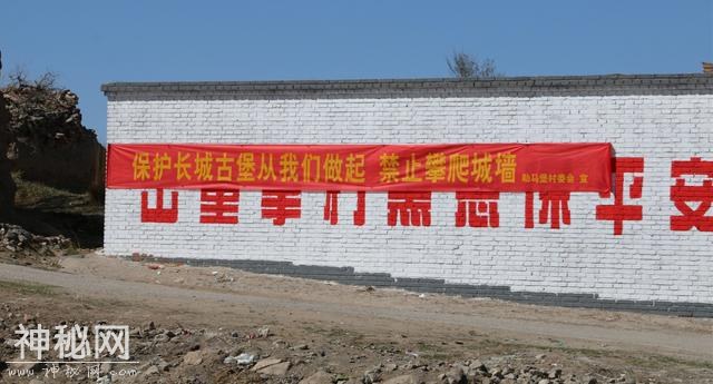 助马情怀--陈福仁-7.jpg