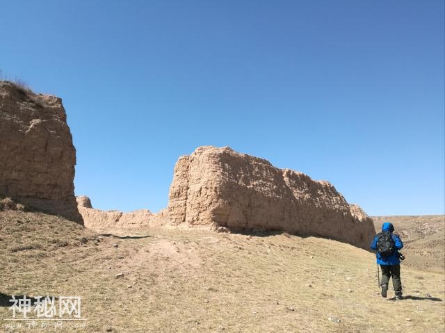 助马情怀--陈福仁-14.jpg