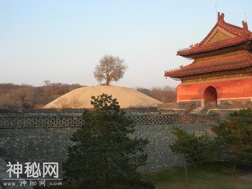 皇太极得了什么怪病？“端坐而终”是真的吗-3.jpg