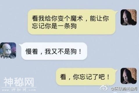 这个魔术我也会了-15.jpg