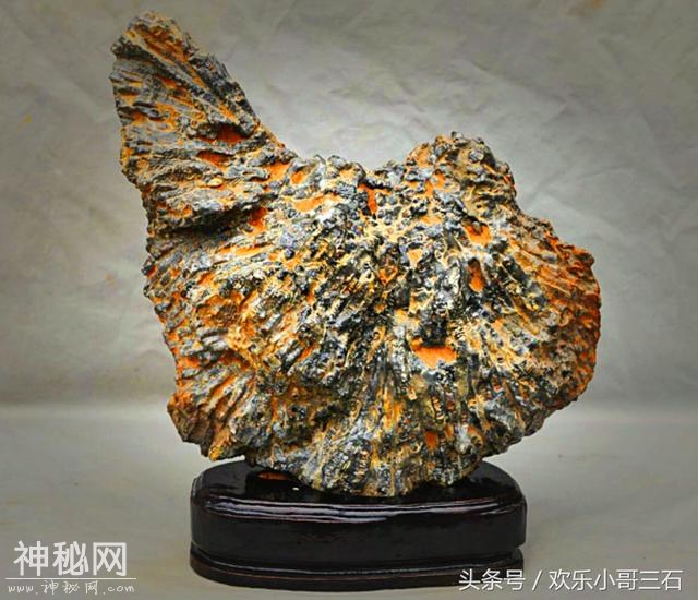 捡化石来这里，下个富豪就是你！-3.jpg