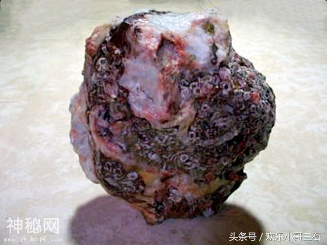 捡化石来这里，下个富豪就是你！-4.jpg