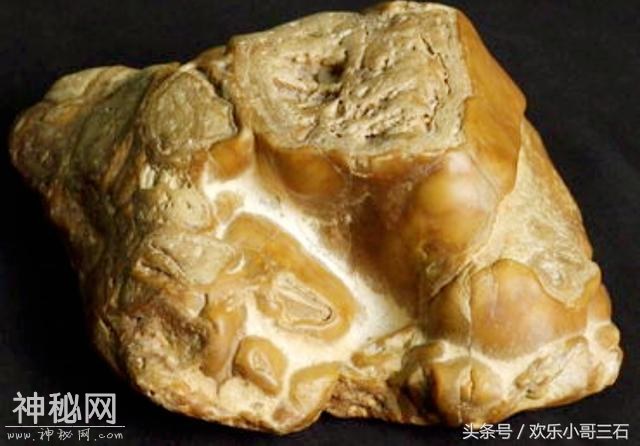 捡化石来这里，下个富豪就是你！-18.jpg