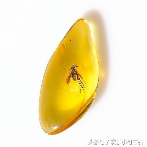 捡化石来这里，下个富豪就是你！-22.jpg