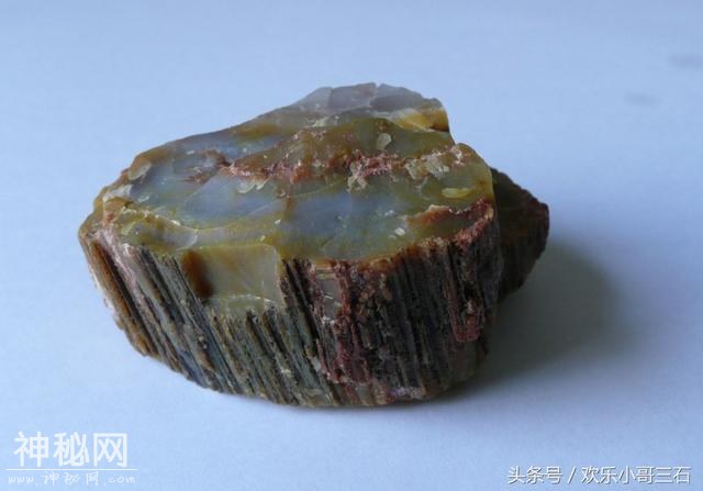 捡化石来这里，下个富豪就是你！-24.jpg