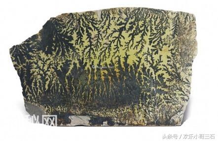 捡化石来这里，下个富豪就是你！-29.jpg