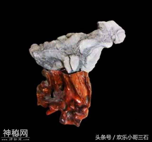 捡化石来这里，下个富豪就是你！-46.jpg