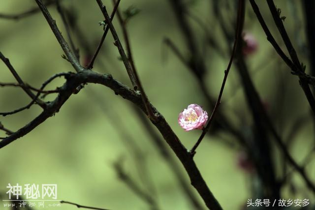 家庭日记：媳妇是我家的卓玛，是我们全家的守护神！-4.jpg