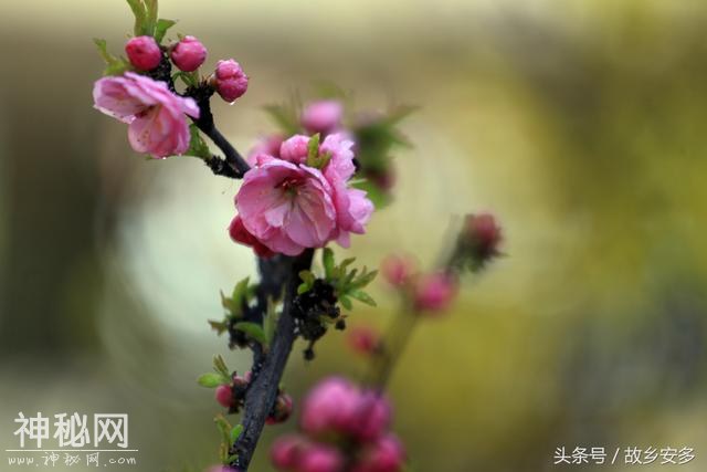 家庭日记：媳妇是我家的卓玛，是我们全家的守护神！-15.jpg