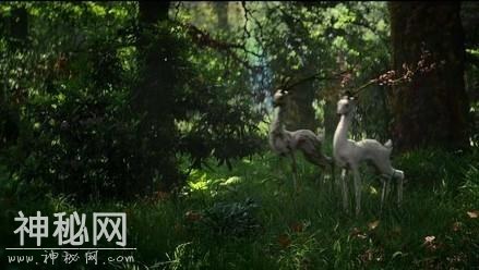 2018年度最佳科幻片？《湮灭》实在受之有愧！-12.jpg