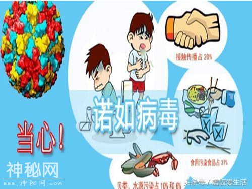 警惕：这种病毒已传到中国，老人小孩尤其爱中招-3.jpg