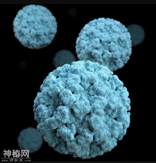Science：每年感染7亿人，这种病毒“赖在”肠道中的秘诀被发现了-1.jpg