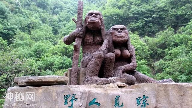 五一 神农架 原始森林穿越-2.jpg