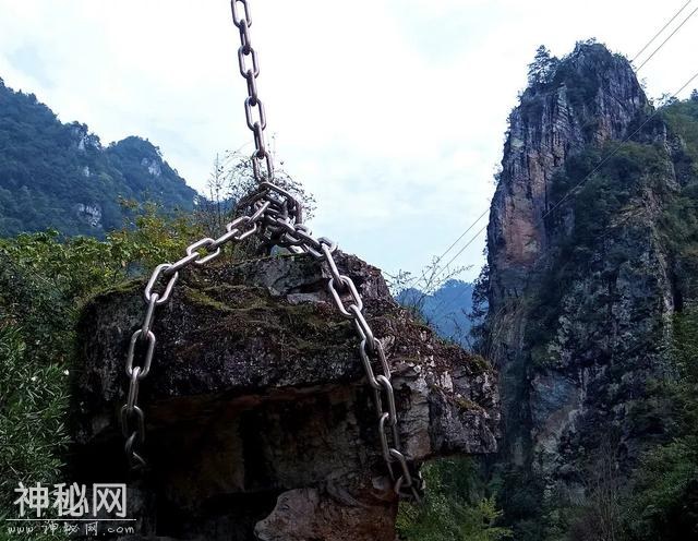 五一 神农架 原始森林穿越-3.jpg