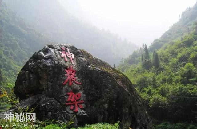 五一 神农架 原始森林穿越-1.jpg