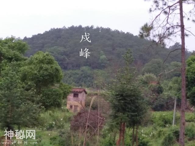 一峰独秀旺丁财-4.jpg