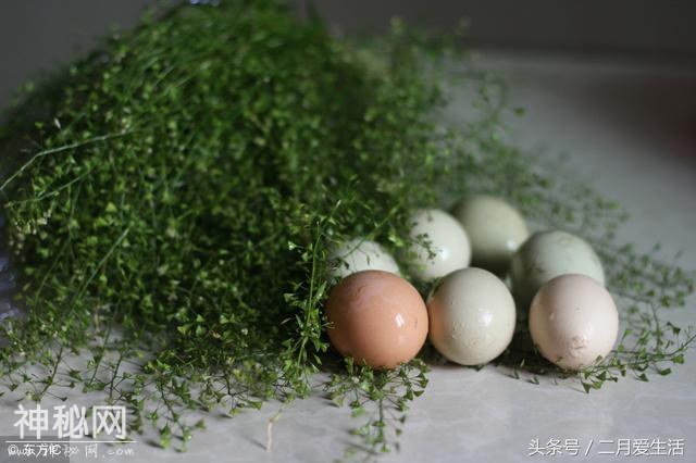 农历三月三唱山歌，地菜花煮鸡蛋，特别好吃，还有什么风俗呢-4.jpg