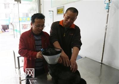屯溪区开展犬类管理整治工作 保障公民的人身安全和身体健康-1.jpg