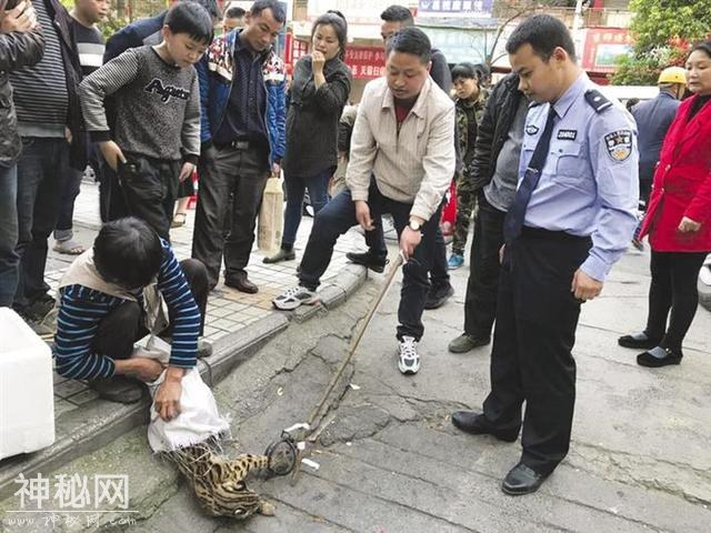 花垣破获一起非法捕猎售卖野生动物案-2.jpg
