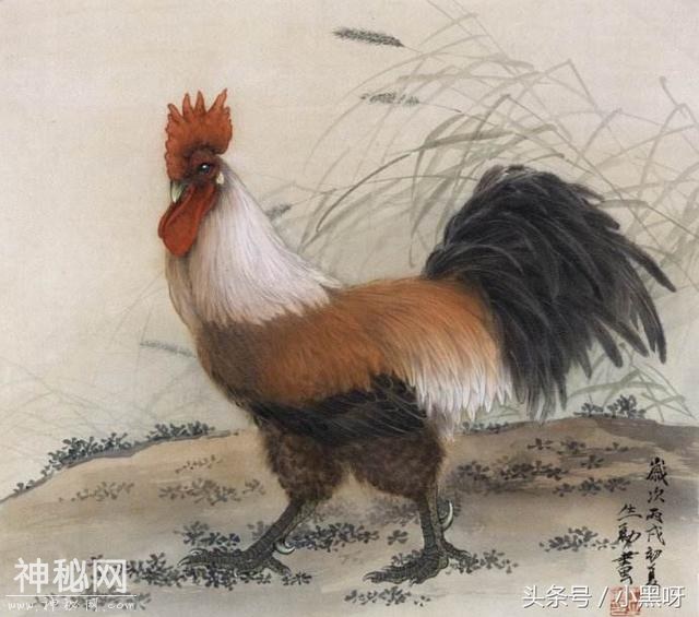 王申勇动物作品欣赏-3.jpg