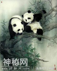 王申勇动物作品欣赏-9.jpg