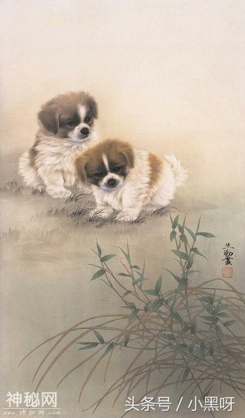 王申勇动物作品欣赏-15.jpg