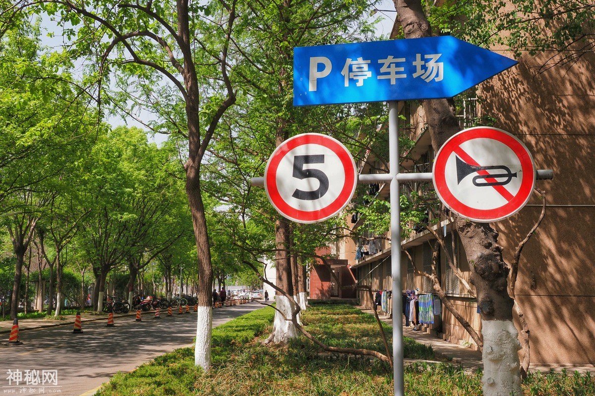 图虫人文摄影：农大校街-4.jpg