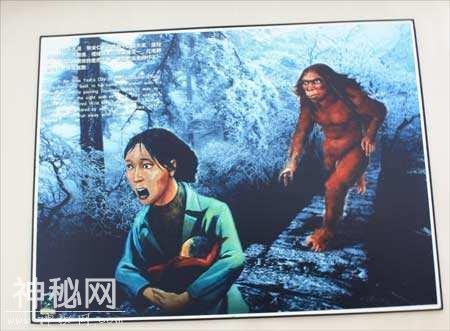神农架“野人”寻踪-1.jpg