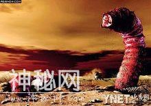 世界未确认生物（23）长白山天池水怪-3.jpg