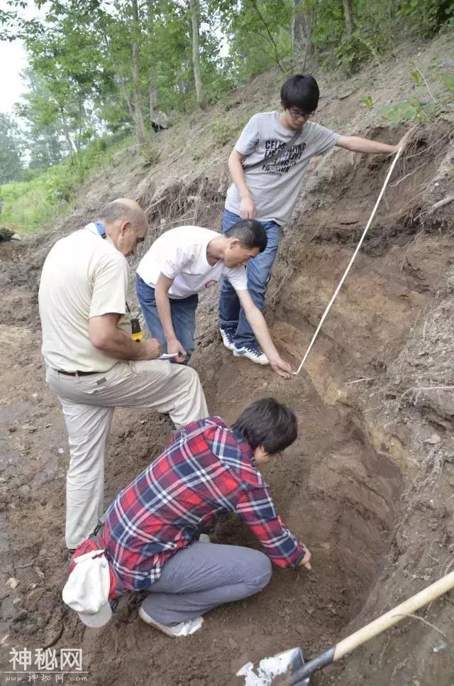 山东大学考古队：我们为什么来到菏泽马岭岗青丘考古？-6.jpg