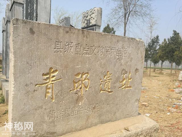 山东大学考古队：我们为什么来到菏泽马岭岗青丘考古？-2.jpg
